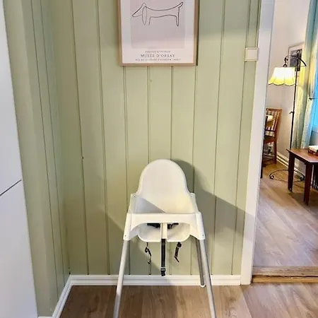 아파트 Sentralt Og Romslig I Sentrum 크리스티안산